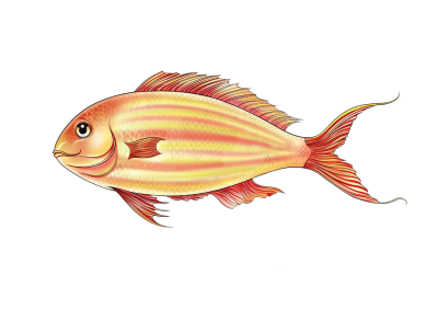 ITOYORI/GOLDEN THREADFIN BREAM