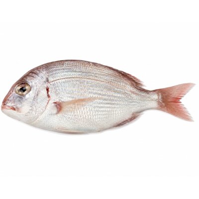 SEABREAM SURIMI
