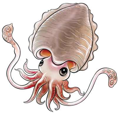 Tentacle Invertebrates