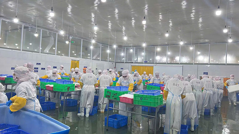 junfanfoods